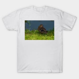 Duck in the grass T-Shirt